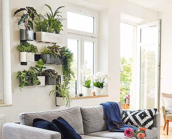 Un kit de tiestos para crear un jardín en la pared 
